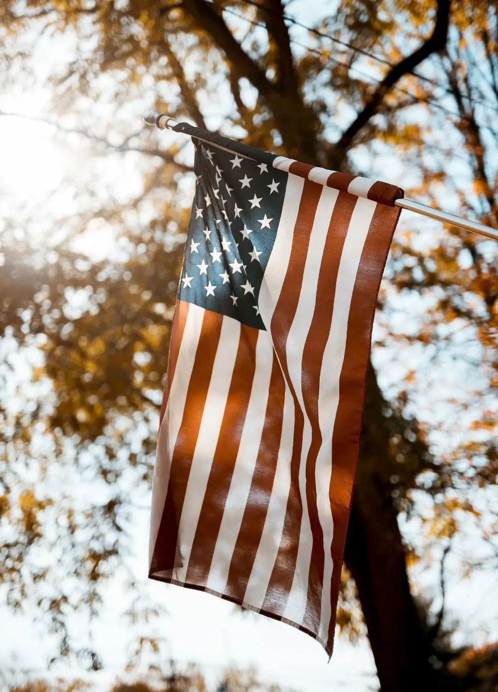 AGÊNCIA ALLON - Imagem 2 da Dobra 7 da Página Home